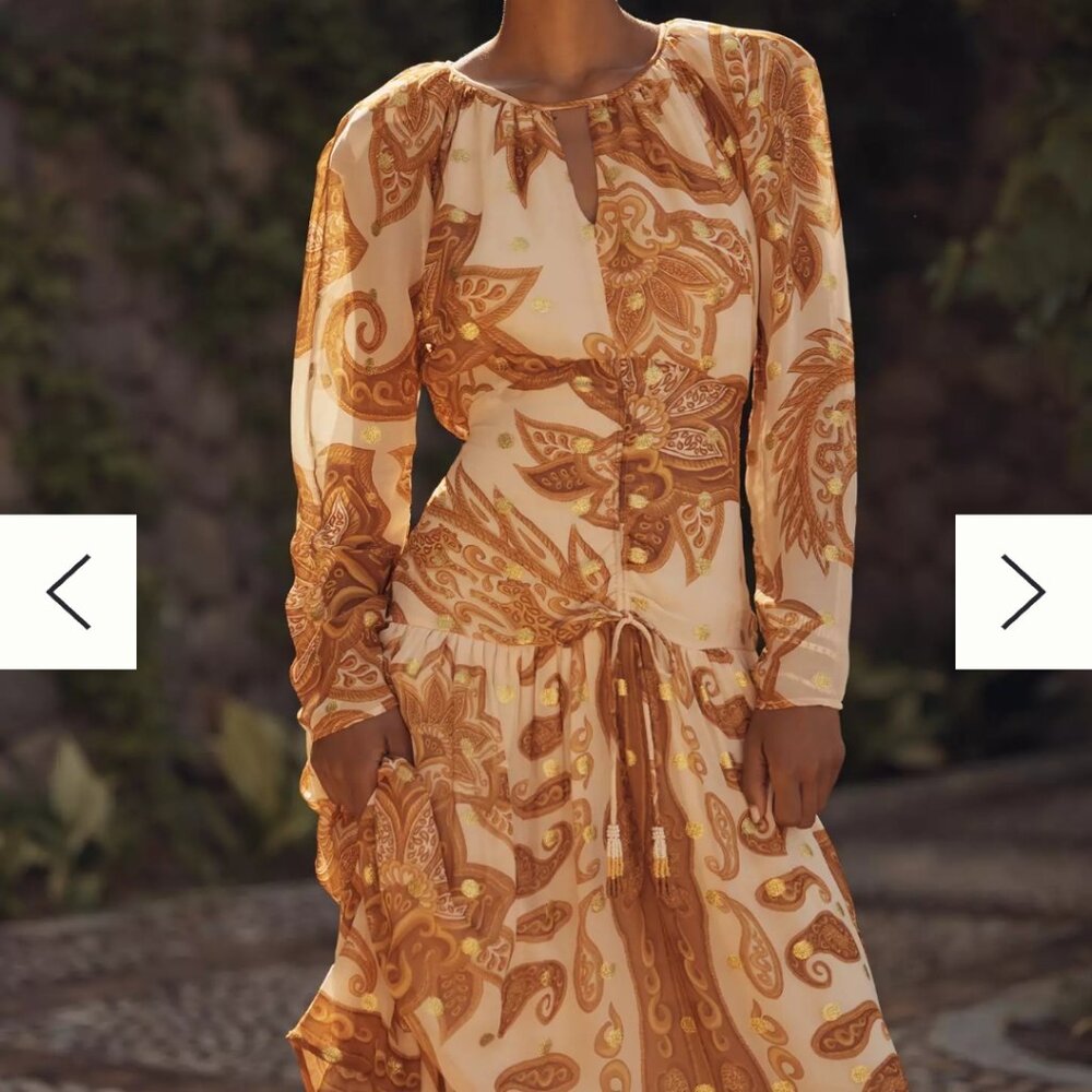 FARM Rio Cream and Brown Paisley Long-Sleeve Maxi Dress